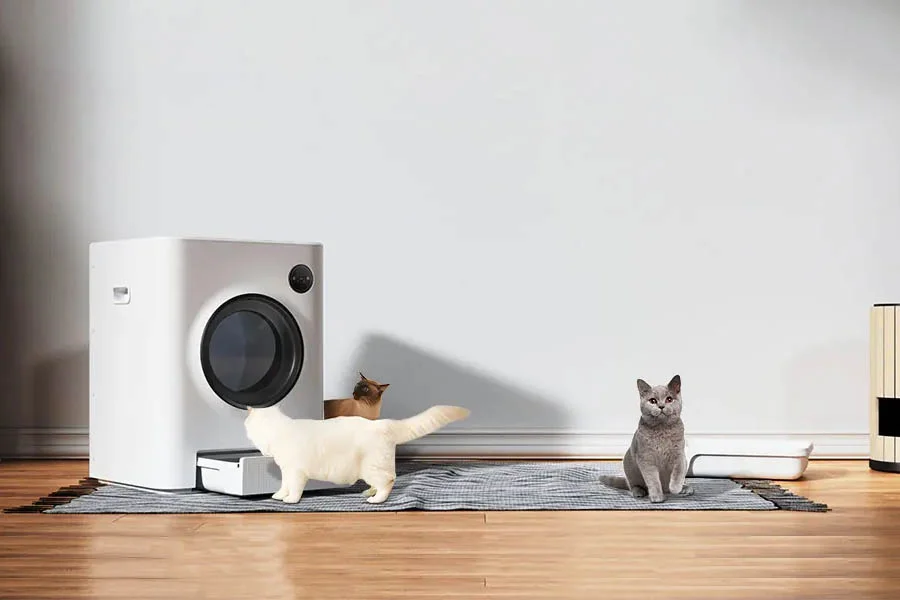 self cleaning cat boxes