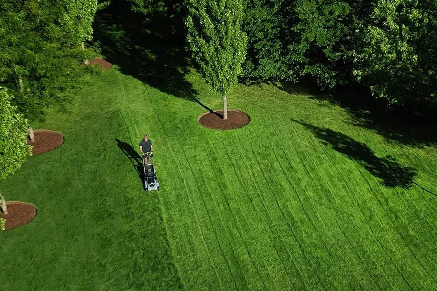 small electric grass mower