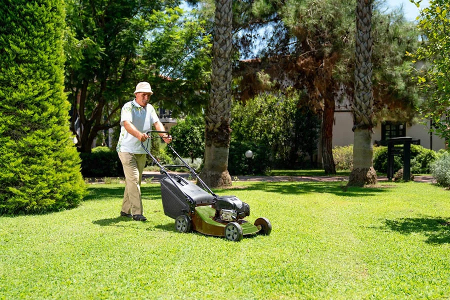 top self propelled lawn mower